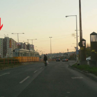 MOL BP 0305 3